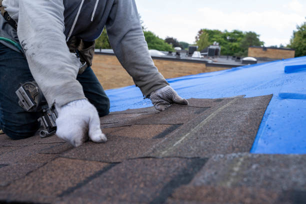 Best Flat Roof Repair Services  in Centreville, AL